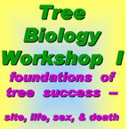 Tree Biology Workshop I