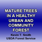 Mature Trees in Healthy Urban & Community Forest